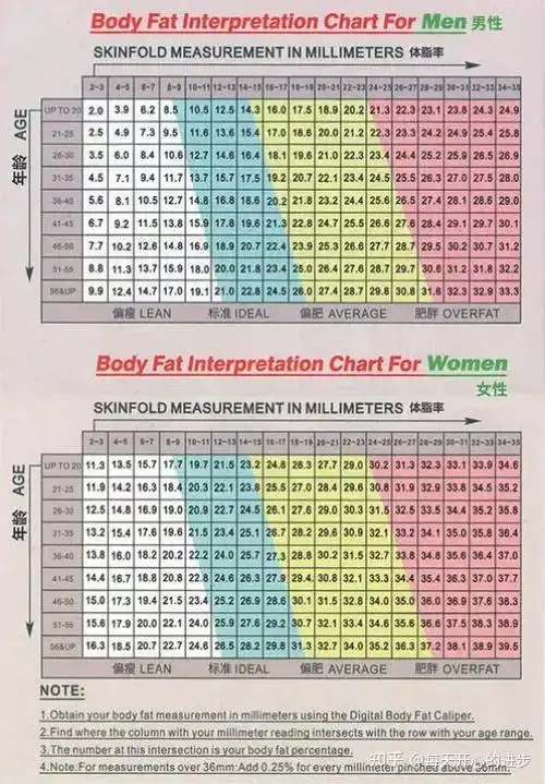 减肥的好帮手,脂肪测量卡尺