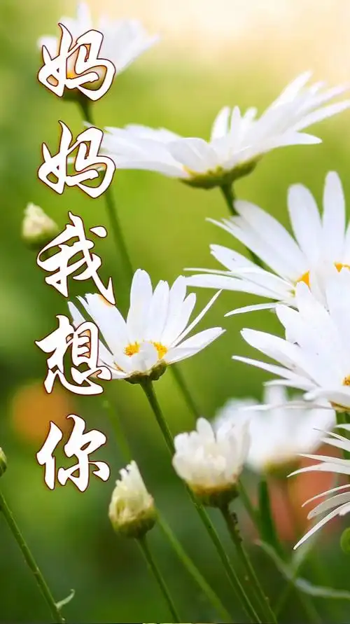 伤感动人《妈妈我想你》,萨克斯旋律深情婉转,娓娓动听!