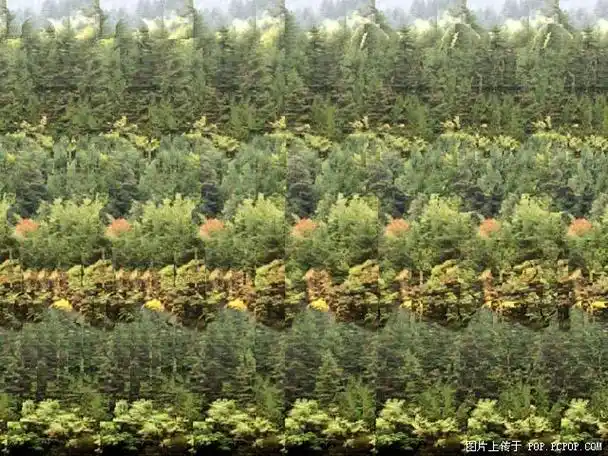 160副益智三维立体图 ............lyyl689 - lyyl689的日志 - 网易博