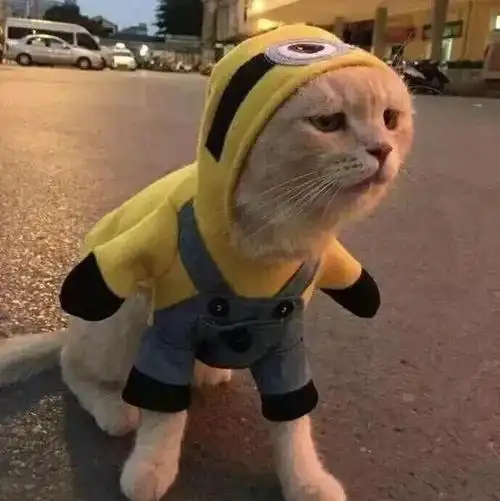 全网最火的头像来了