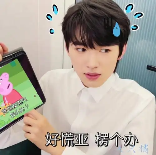 宋亚轩刘耀文表情包