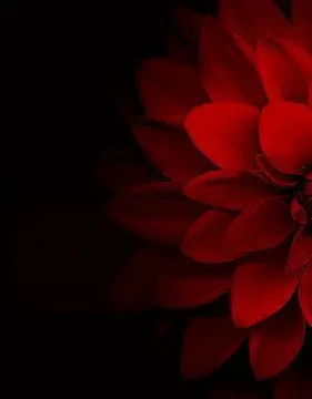 281_360竖版 竖屏