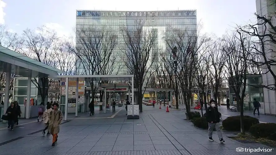 日本 关东 埼玉县 埼玉市 埼玉市景点 keyaki hiroba