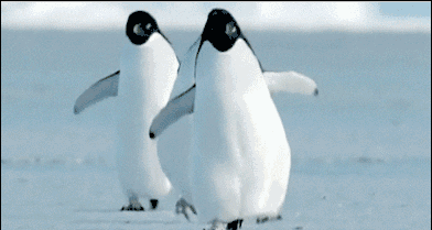 392_209gif 动态图 动图