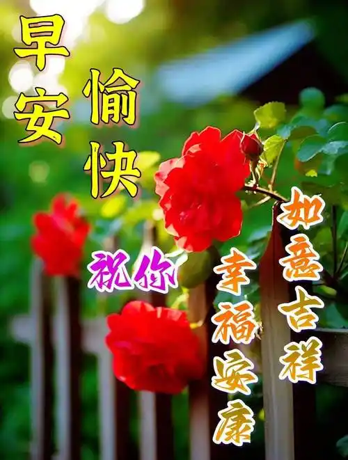 今日最新早上好表情图片大全,天气炎热,保重身体_祝福_问候_朋友