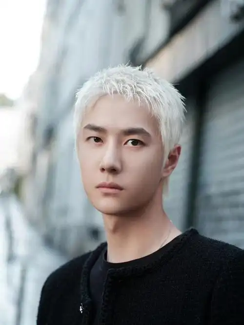 王一博白发精修图这个造型hold住了吗