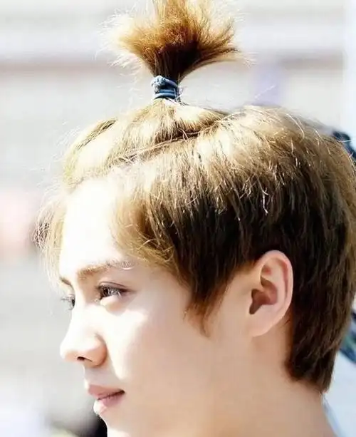 刘昊然长发扎小辫有艺术范张艺兴显忧郁王俊凯是来搞笑的吗