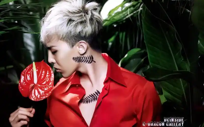 权志龙高清壁纸