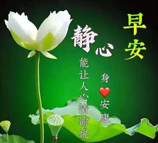 新款早上好问候祝福语短句子 - 生活 - 布条百科