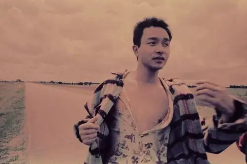 张国荣,《春光乍泄》