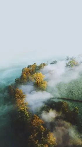 清新护眼自然风光手机壁纸