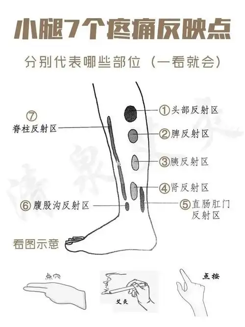 小腿是人体第二心脏腿不老生病少