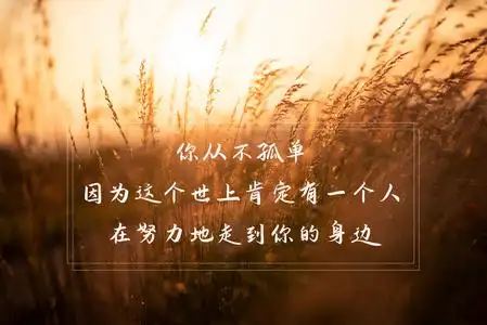 心灵鸡汤经典语录励志