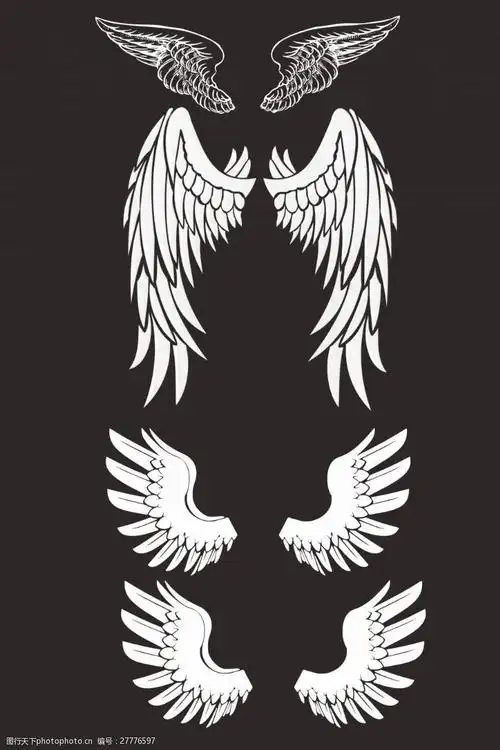 翅膀简笔画 翅膀简笔画简单又漂亮