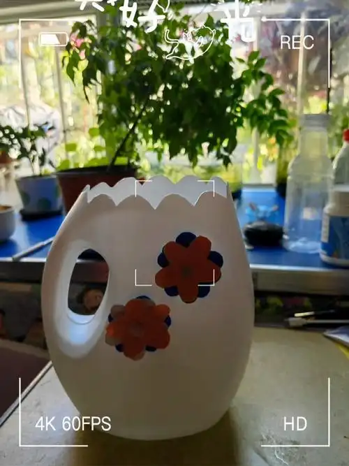 洗衣液瓶子制作简单花盆