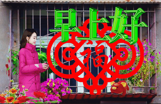 星期三早上好表情周三早上好祝福语短句带问候图片