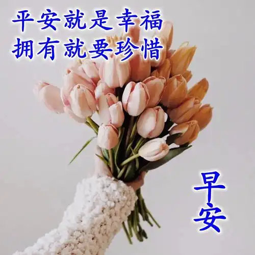 星期日早上好最美问候温馨图片带字,问候朋友阳光暖心的早安句子