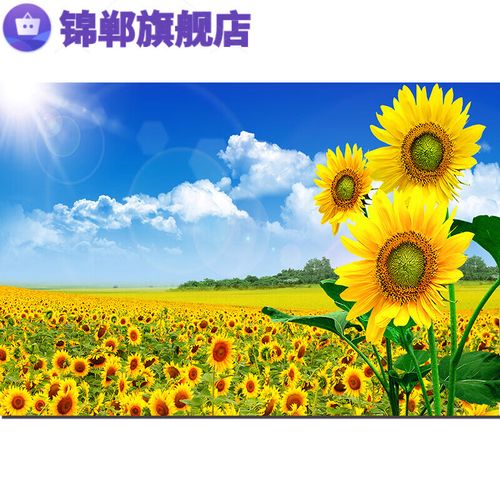呦卿唯美向日葵蓝天白云太阳花卉草地中式装饰画自然风景海报墙贴 m42