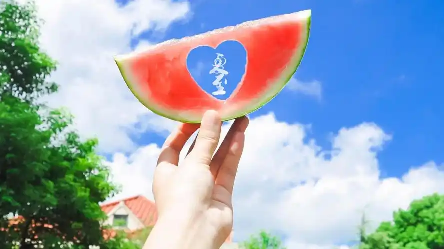 桌面壁纸 花卉 水果蔬菜 > 夏日清凉西瓜创意图片