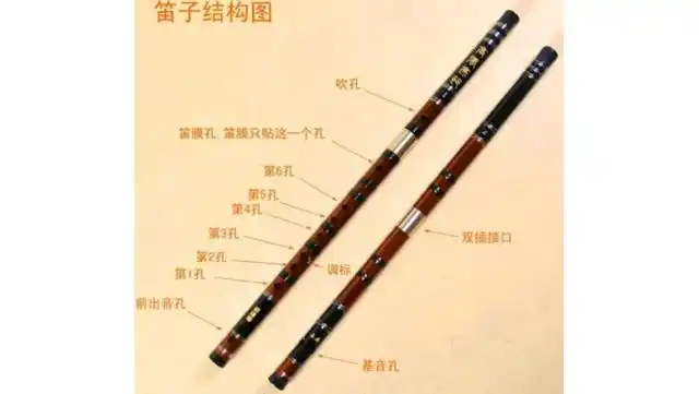 笛子的基本指法详解,干货分享,初学入门原来需要这样训练指法?