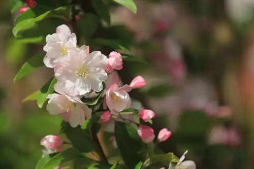 好心情靠找,好心态靠调