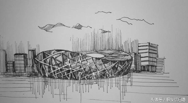 画手绘树上鸟窝的画法图片 树上鸟窝简笔画图片北京鸟巢场地平面图简