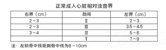 2023年医师资格考试考试体格检查详解心脏间接叩诊