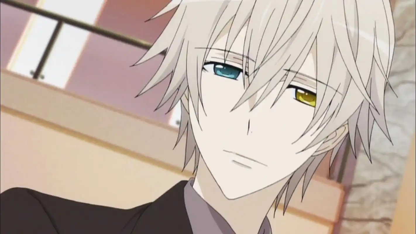 《妖狐×仆ss》中的御狐神双炽是白鬼院凛凛蝶的ss,对凛凛蝶有像忠犬