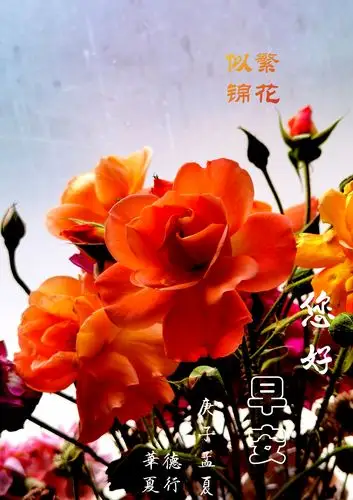 您好,早安吉祥!幸福快乐! ——问候祝福语图片集锦 (一)