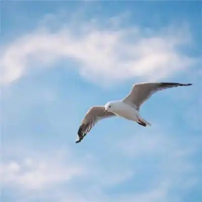 男人好运风景微信头像 以时光为眸