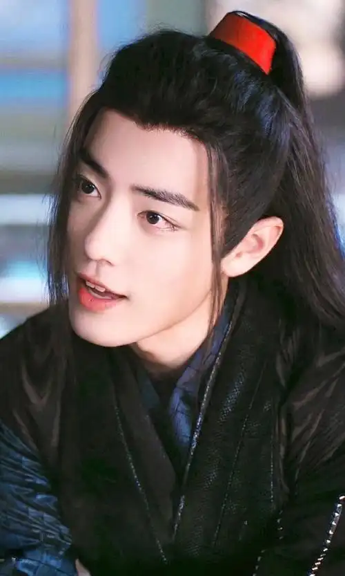 肖战魏无羡##肖战藏海