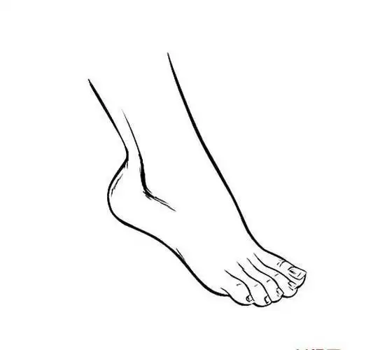 人简笔画一只脚脚抬起