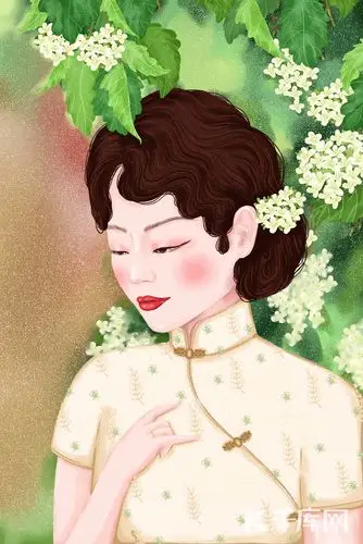 民国女人插画