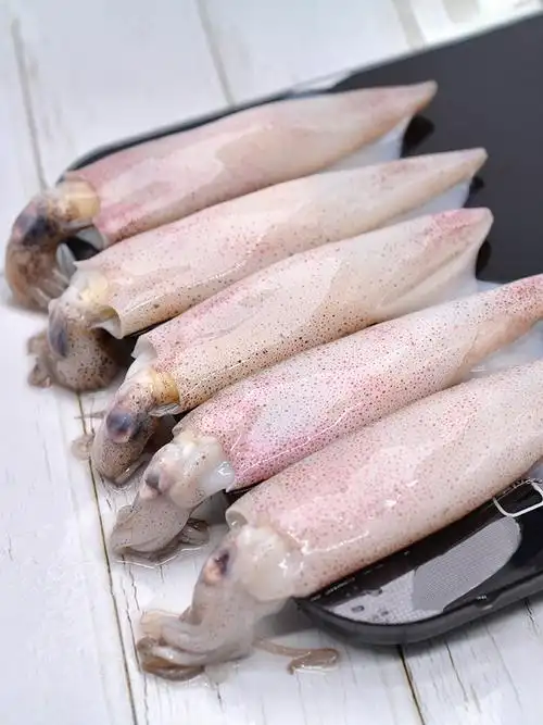 籽乌新鲜笔管鱼海兔子满籽鲜活水产冷冻小墨鱼冷冻墨鱼