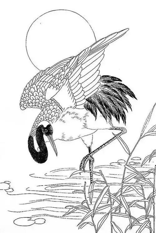 一组白描仙鹤,惟妙惟肖︱艺术名画