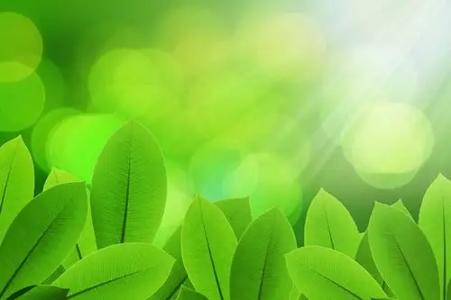 树叶纹理背景高清图片