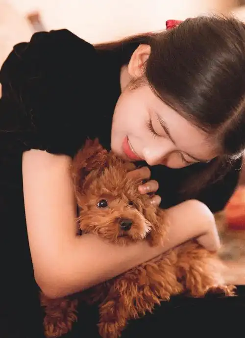 赵蕴卓 yunzhuo zhao的图片