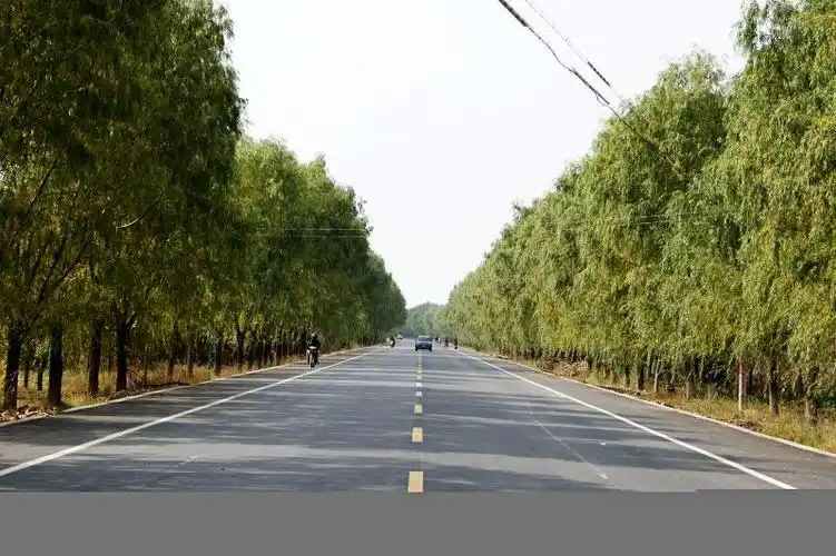 新建成的宁长二级公路掠影_百姓故事_正宁论坛_正宁