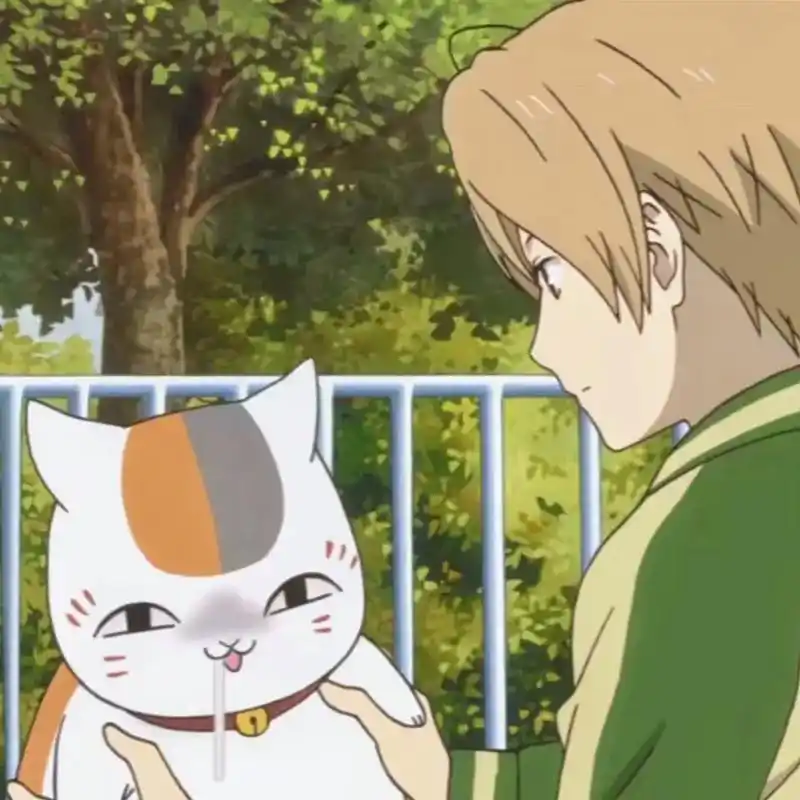 夏目跟猫咪老师相处方式好可爱 每一个都可以拿来当头像 #夏目 - 抖音