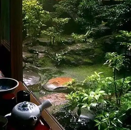 有处庭院喝茶读书不争朝夕