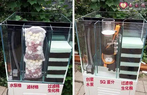 经过过滤棉,更好的过滤   水族设备及滤材摆放示意图