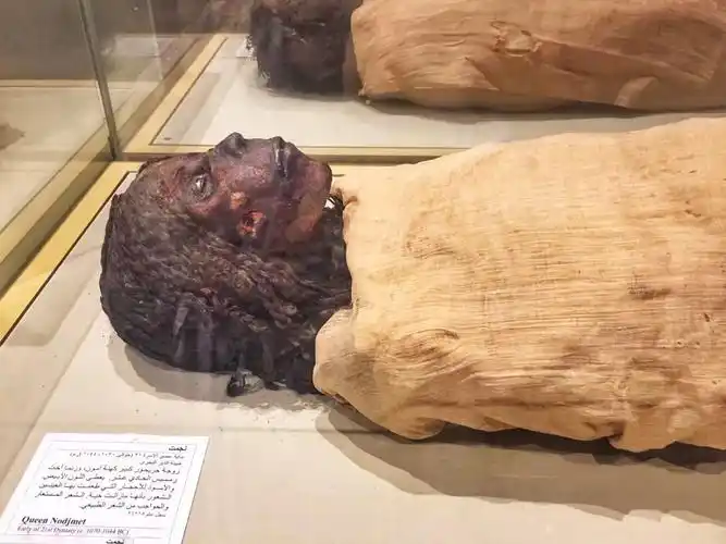 进入金字塔的人无一例外得病死去意外发现木乃伊千年不腐