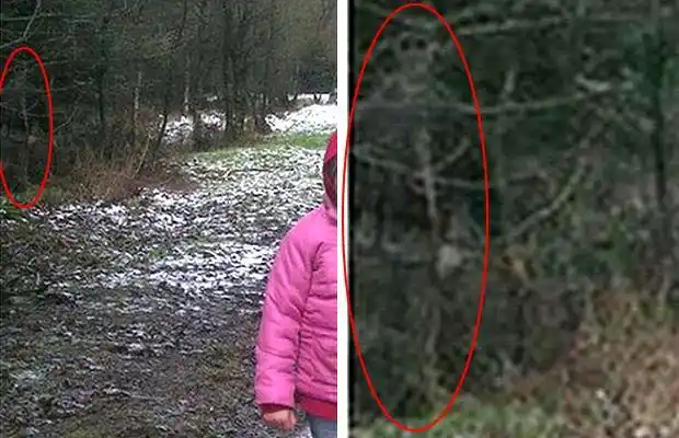 全球超自然的惊悚"鬼影" (组图)