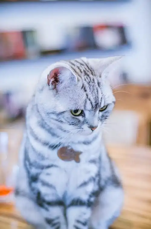 人家拿小眼神瞪你