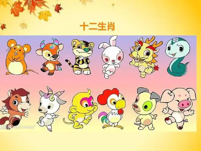 一年级上册语文课件 单元拓展《十二生肖》人教部编版共15张ppt