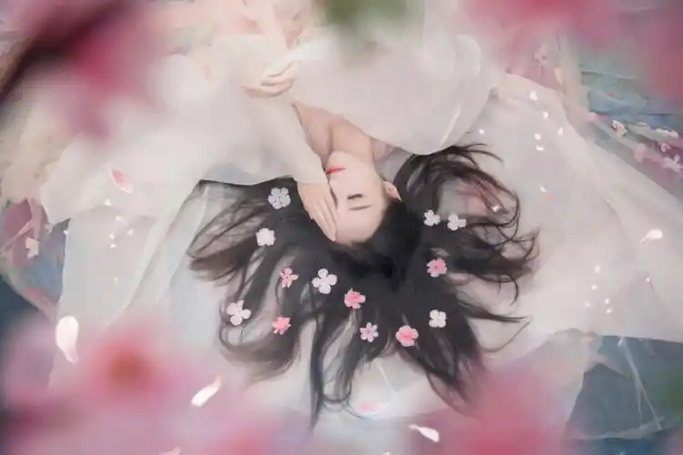 盘子女人坊  三生三世十里桃花