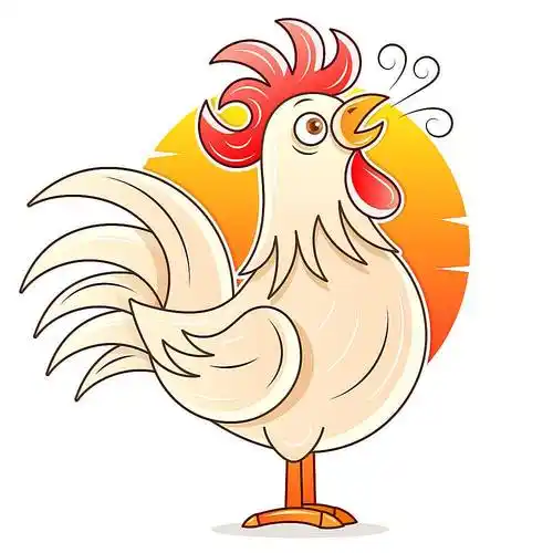 早晨的公鸡主题插画设计图片