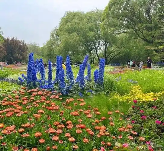 不愧是帝都周末"精神快充"圣地,绝美大公园草坪野餐逛花田