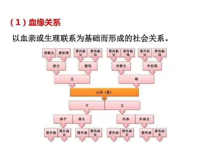 1《我与社会》优秀课件ppt