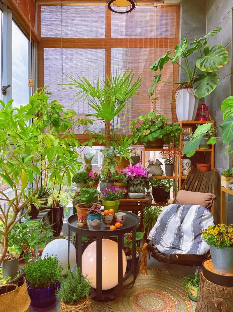 阳台花园宅家就能体验的精致生活
